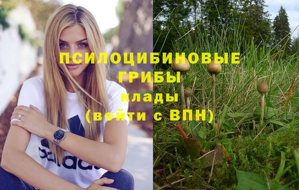 мет Абаза