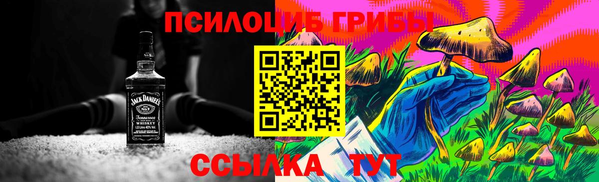 Астрахань  Галлюциногенные грибы мицелий  Вход с VPN  Псилоцибиновые грибы MAGIC MUSHROOMS 